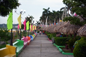 DSC_9482_ps